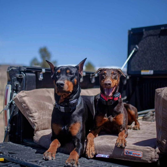 Big Barker 3" Thick SUV Dog Bed – Orthopedic, Waterproof, Large Breed Travel Dog Bed with Joint Support - H7ZC - Khaki - Medium – 55" x 25" x 3" - 1 ct - 14