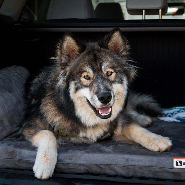 Big Barker 3" Thick SUV Dog Bed – Orthopedic, Waterproof, Large Breed Travel Dog Bed with Joint Support - Jeffers - Dog Supplies > Dog Beds