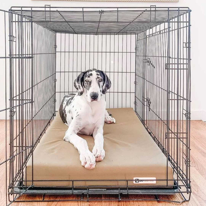 Big Barker 4" Thick Ortholift Crate Dog Bed – Orthopedic Foam Mat for Dogs - Jeffers - Dog Supplies > Dog Beds