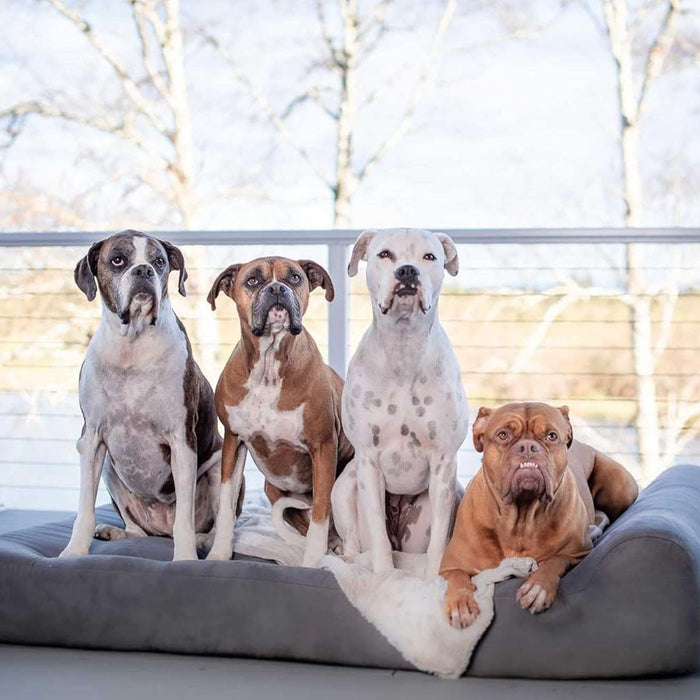 Big Barker 7" Thick Headrest Dog Bed – Orthopedic Foam Bed for Large & Giant Breed Dogs, Vet Recommended, Machine Washable - Jeffers - Dog Supplies > Dog Beds