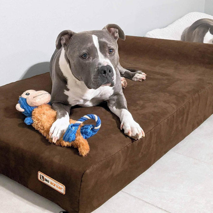 Big Barker 7" Thick Headrest Dog Bed – Orthopedic Foam Bed for Large & Giant Breed Dogs, Vet Recommended, Machine Washable - H7YA - Large - 48" x 30" x 7" - Chocolate - 1 ct - 20