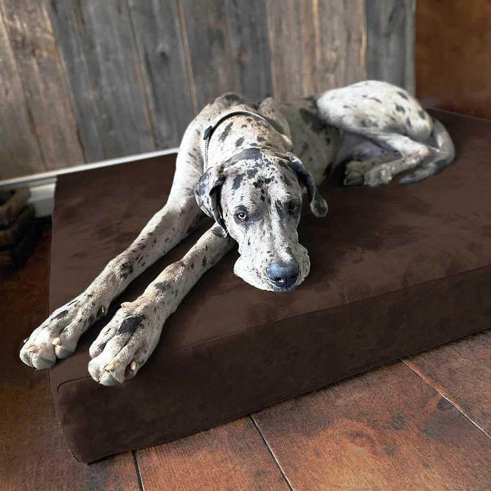 Big Barker Original Sleek Dog Bed, 7" Thick – Orthopedic Foam for Large & Giant Dogs - H7YK - Chocolate - Giant - 60" x 48" x 7" - 1 - 14