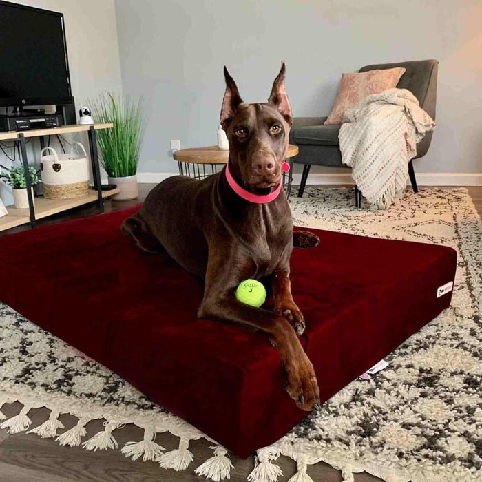 Big Barker Original Sleek Dog Bed, 7" Thick – Orthopedic Foam for Large & Giant Dogs - H7YQ - Burgundy - XLarge - 52" x 36" x 7" - 1 - 29