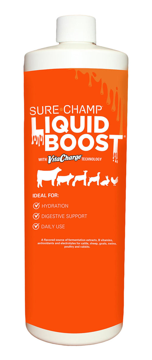 Vita Charge Liquid Boost - Vita Charge Liquid Boost, 32 oz  