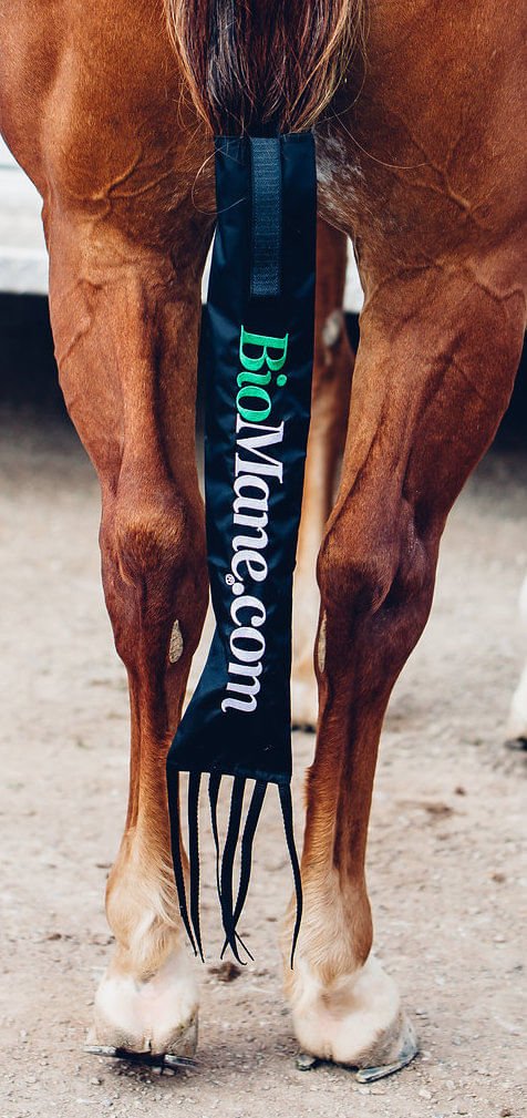 BioMane Tail Bag w/ Velcro Straps for Horses — Jeffers