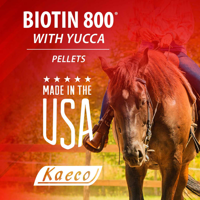 Biotin 800 Pellets - Jeffers - Animal Health & Wellness > Vitamins & Supplements