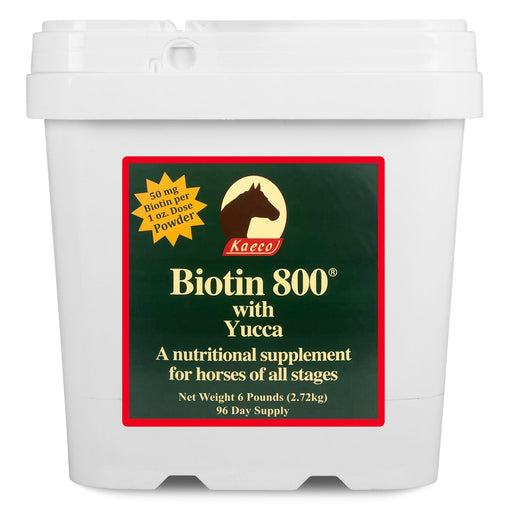 Biotin 800 Powder with Yucca - Jeffers - Animal Health & Wellness > Vitamins & Supplements