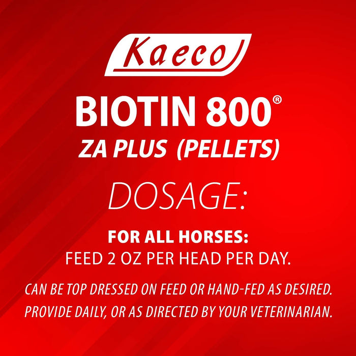 Biotin 800 ZA Plus - Jeffers - Animal Health & Wellness > Vitamins & Supplements