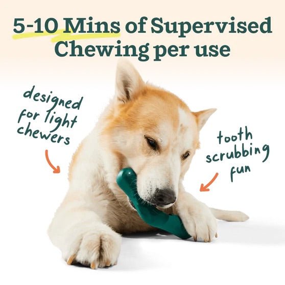 Bite n’ Brush Dog Dental Chew Toy & Treat Refills– Self - Cleaning, Teeth & Gum Care, Plaque & Tartar Remover - WO2AR - Brush - Small - 5