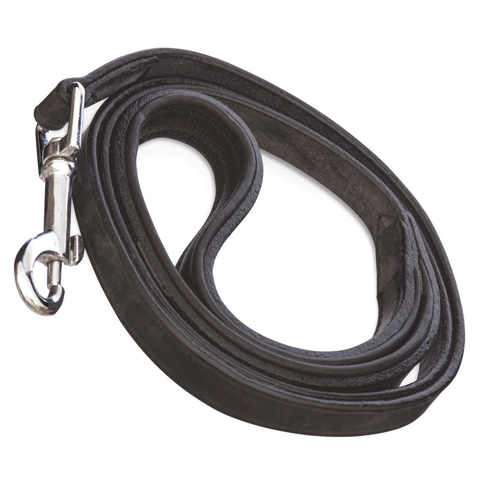 Black Padded Leather Leash, 5/8' x 4' - Jeffers - Dog Supplies > Dog Apparel > Dog Collars, Harnesses, & Leashes