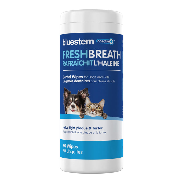 bluestem Dental Wipes, 60 ct - Jeffers - Animal Health & Wellness > Oral Care