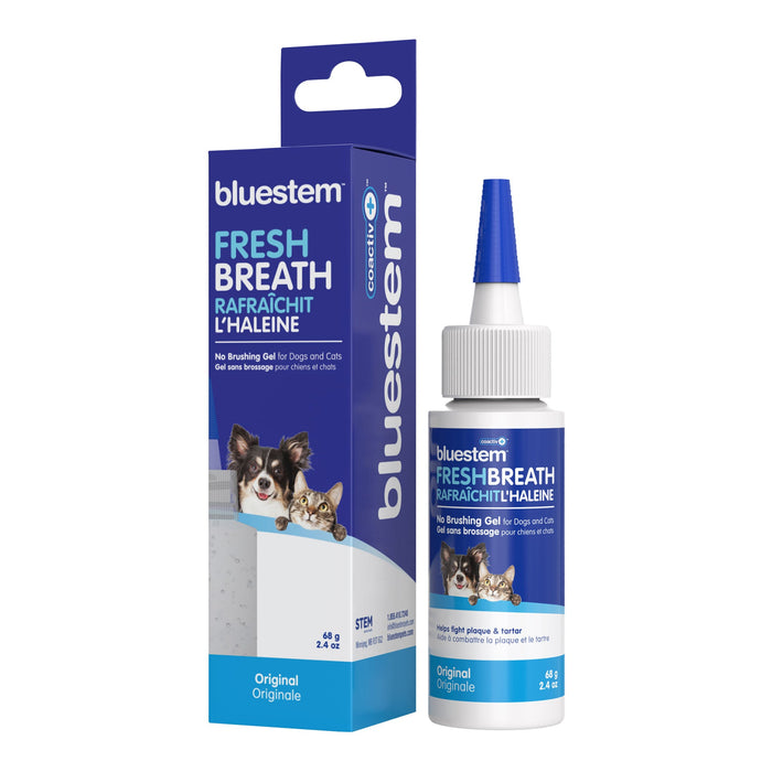 bluestem No Brushing Gel - Jeffers - Animal Health & Wellness > Oral Care