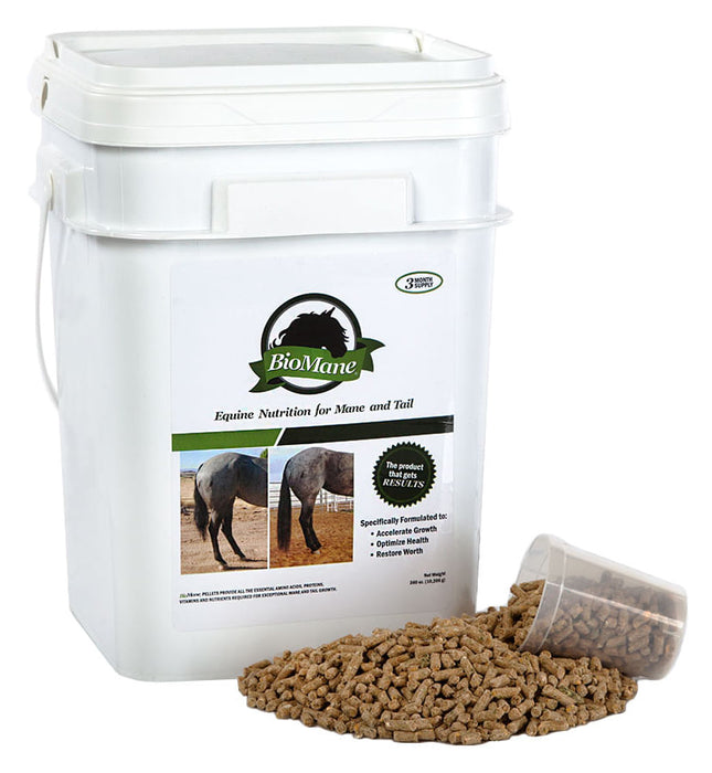 BioMane Equine Pellets - 24 lb BioMane Equine Pellets  