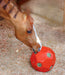 Burlingham Hay Ball Feeder - Orange  