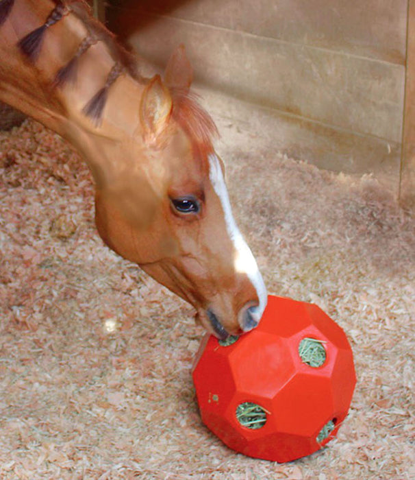 Burlingham Hay Ball Feeder - Red  