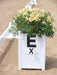 Burlingham White Arena Flower Box -   