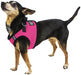 Boston Mesh Dog Harness - Jeffers - Dog Supplies > Dog Apparel