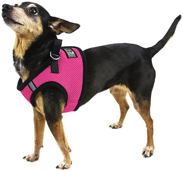 Boston Mesh Dog Harness, XXX - Large - Jeffers - Dog Supplies > Dog Apparel > Dog Collars, Harnesses, & Leashes