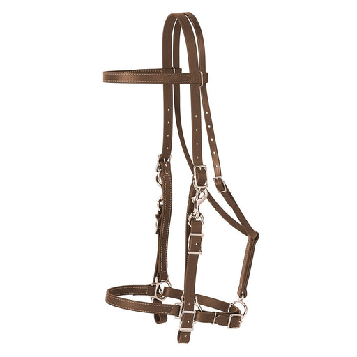 Brahma Webb Trail Gear Horse Halter Bridle Combo - W26I - Brown - 1