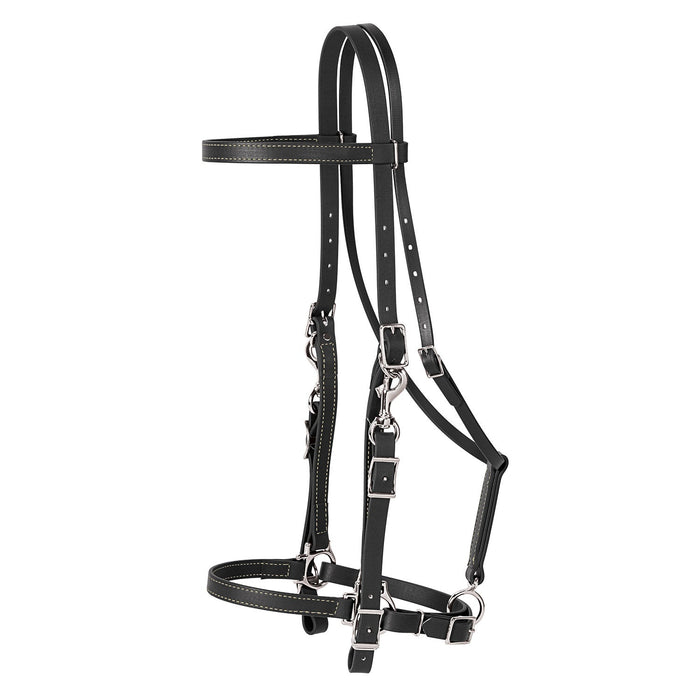 Brahma Webb Trail Gear Horse Halter Bridle Combo - W26I - Brown - 2