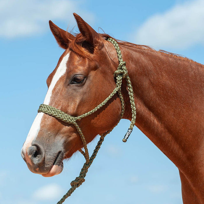 Braided Mule Tape Halter w/ 9' Lead - Jeffers - Horse Supplies > Horse Tack > Horse Halters