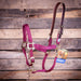 Breakaway Horse Halter, Horse Size - Jeffers - Horse Supplies > Horse Tack > Horse Halters