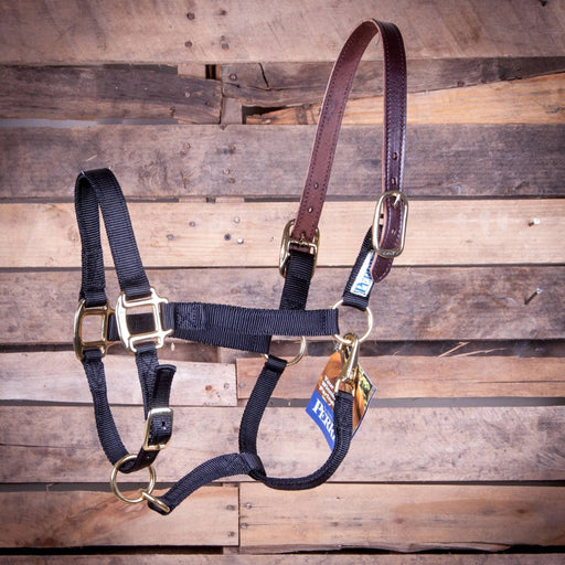 Breakaway Horse Halter, Horse Size - Jeffers - Horse Supplies > Horse Tack > Horse Halters