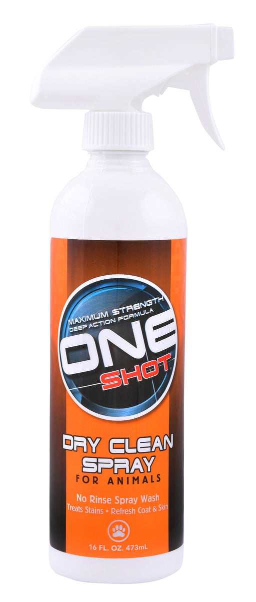 One Shot Dry Clean Spray - 16 oz One Shot Dry Clean Spray  