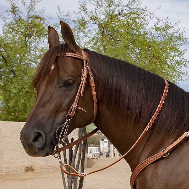 Professional's Choice Buckstitch Harness Leather Browband Headstall