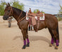 Buckstitch Harness Leather Browband Headstall - Jeffers - Horse Supplies > Horse Tack > Bridles & Headstalls