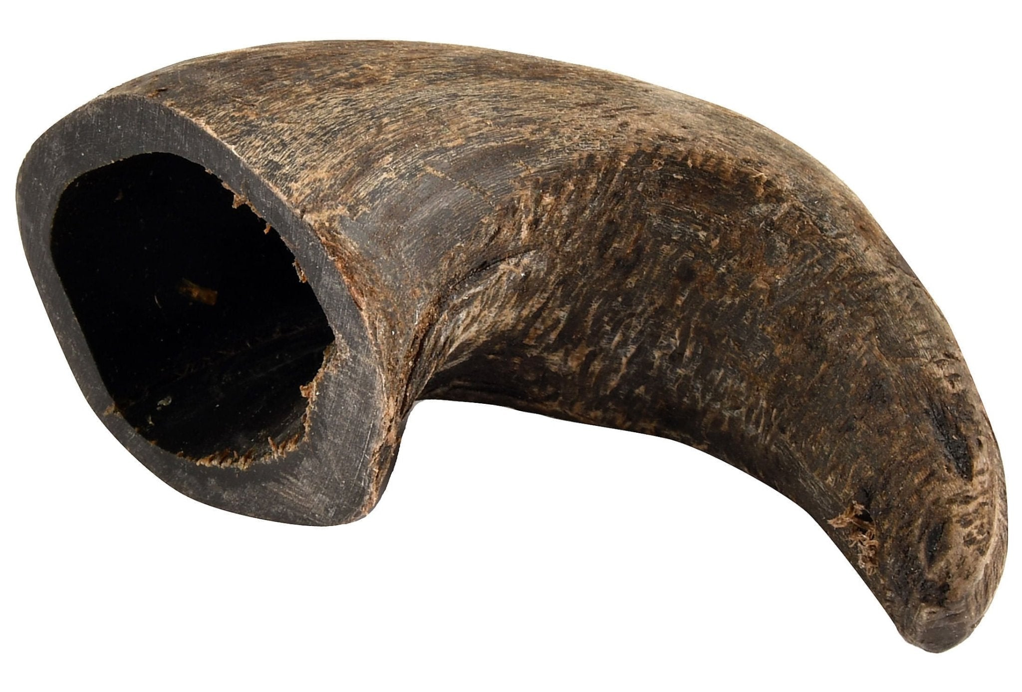 buffalo-hornz-qtd1k-628652.jpg