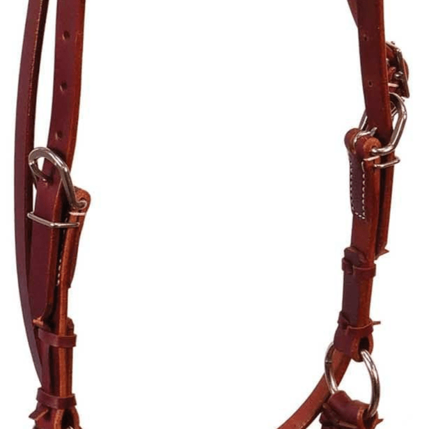 Buffalo Leather Fully Adjustable Rawhide Side Pull Headstall - BUFU7 - 3