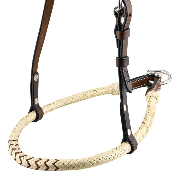 Buffalo Leather Rolled Rawhide Noseband for Horses with Stainless Steel Hardware - BUF1T - Natural Rawhide - 2