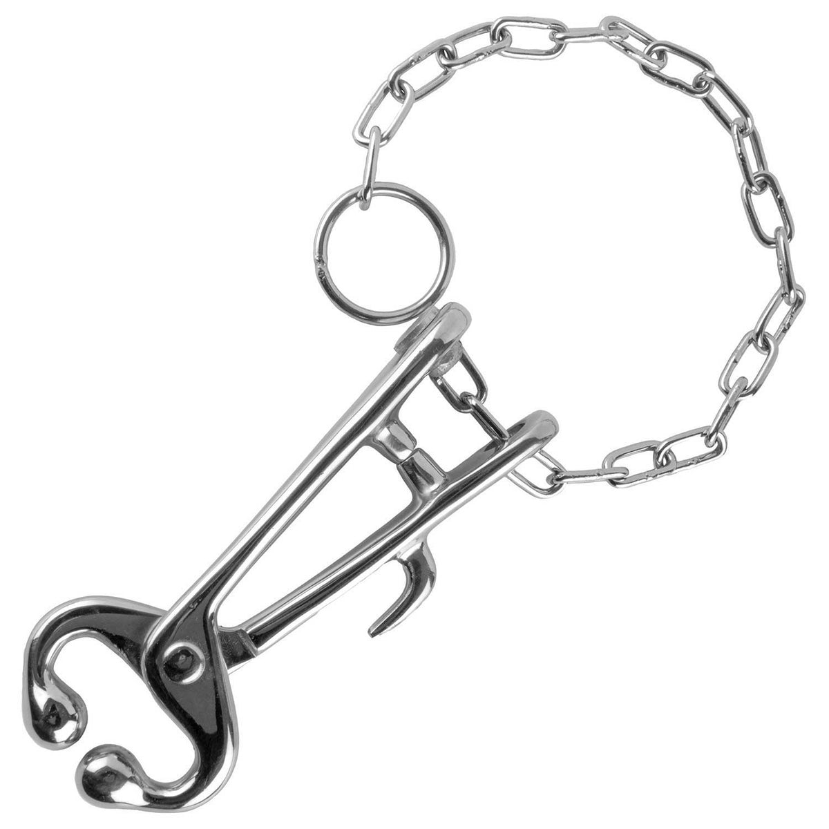 CYNAMED USA German 7.5 Bull Cow Nose Lead With 13" Chain - Show Cattle Farm Ranch Veterinary Tool