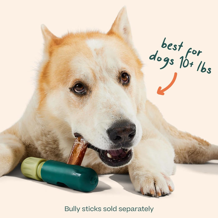 BullySafe Bully Stick & Chew Holder – Safe, Durable Chew Toy for Dogs - WO2AJ - Green - One Size - 1 ct - 8