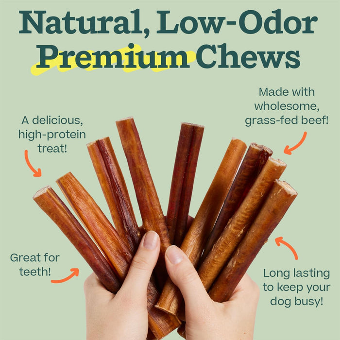 BullySafe Bully Sticks– Odor - Free, Long - Lasting Dog Chews | Grass - Fed, Free - Range, Single - Ingredient Beef Pizzle Treats - WO2BV - Beef - 12"L - 5 pack - 10