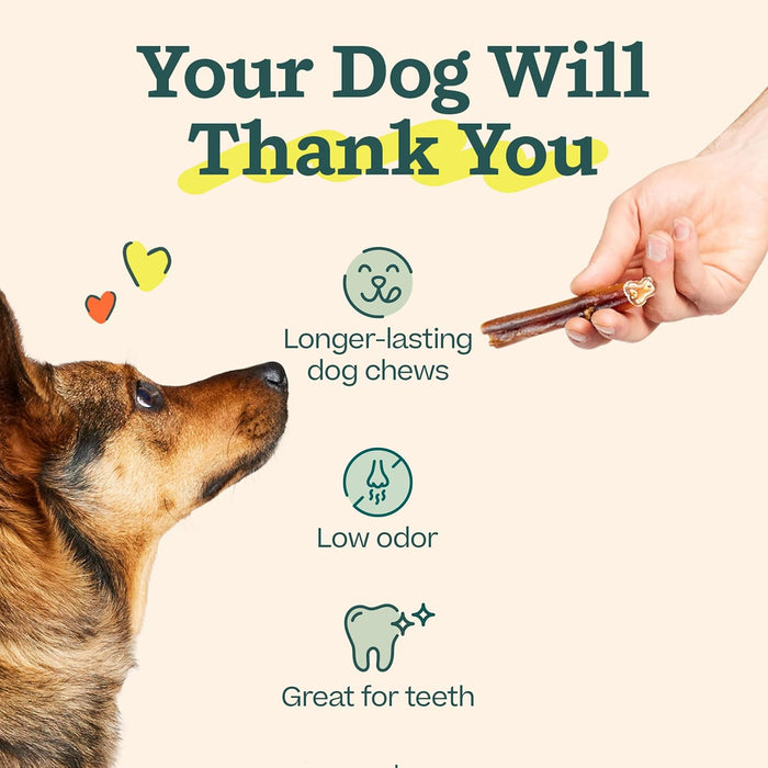 BullySafe Bully Sticks– Odor - Free, Long - Lasting Dog Chews | Grass - Fed, Free - Range, Single - Ingredient Beef Pizzle Treats - WO2BV - Beef - 12"L - 5 pack - 5