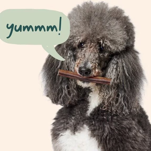 BullySafe Chews - Pure Collagen Chews Dog Chews – Long Lasting, Single Ingredient, Joint Support - WO2AL - 6"L - 5 pk - 5