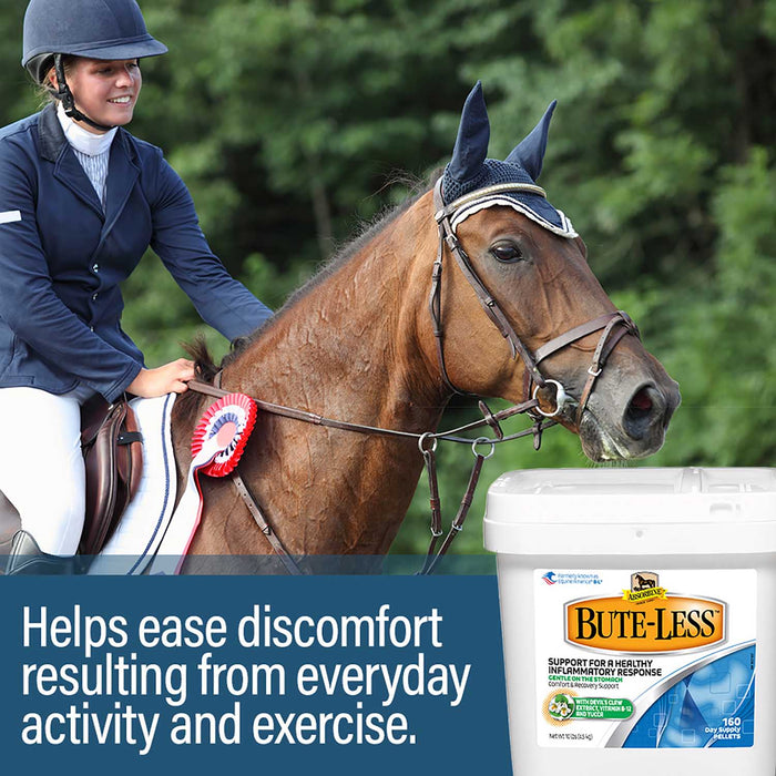 Bute - Less Pellets - Jeffers - Animal Health & Wellness > Joint Health