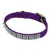 Coastal Jeweled Dog Collar - Purple Small - 5/8" x 14" 