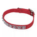 Coastal Jeweled Dog Collar - Red Small - 5/8" x 14" 