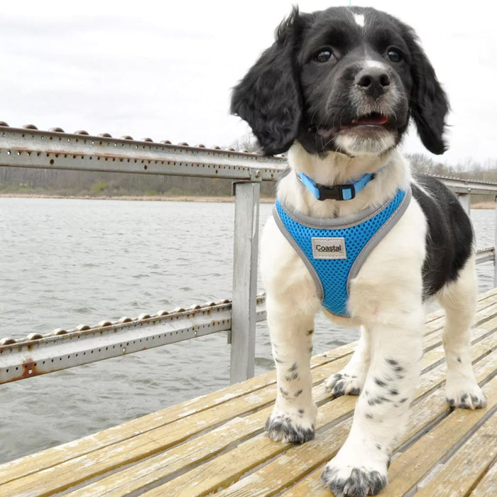 Comfort Soft Reflective Wrap Adjustable Dog Harness - Lime Large - 1" x 28"-36" 