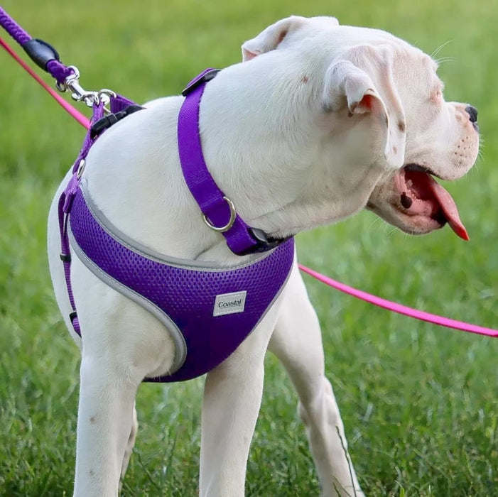 Comfort Soft Reflective Wrap Adjustable Dog Harness - Sunset Orange Large - 1" x 28"-36" 