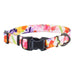 Inspire Adjustable Fashion Dog Collar - Sherbet Blooms Small - 5/8" x 10-14" 