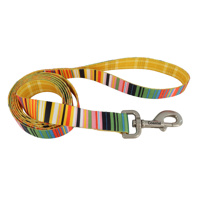 Sublime Dog Leash - Sublime Stripe with Gold Plaid Medium/Large - 1" x 6' 