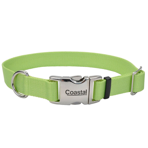 Coastal Adjustable Dog Collar with Metal Buckle - Lime Large - 1" x 18"-26" 