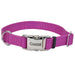 Coastal Adjustable Dog Collar with Metal Buckle - Orchid Large - 1" x 18"-26" 