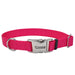 Coastal Adjustable Dog Collar with Metal Buckle - Pink Flamingo Medium - 1" x 14"-20" 