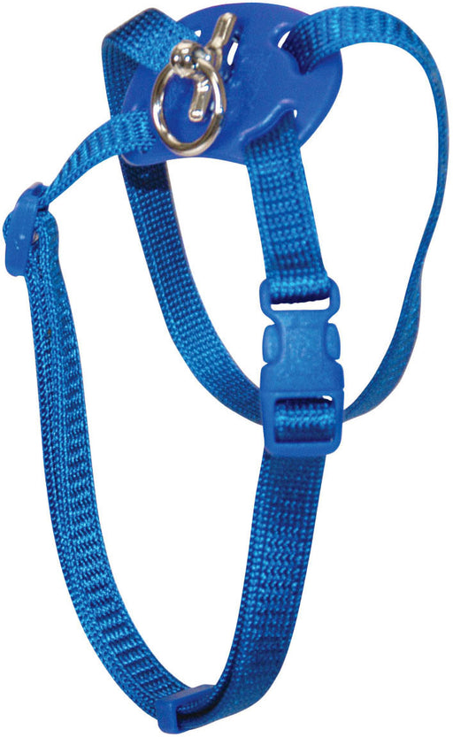 Size Right! Adjustable Cat Harness - Blue  