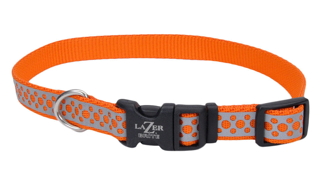 Lazer Brite 1" Dog Collar, 18"-26" - Orange Abstract Ring  